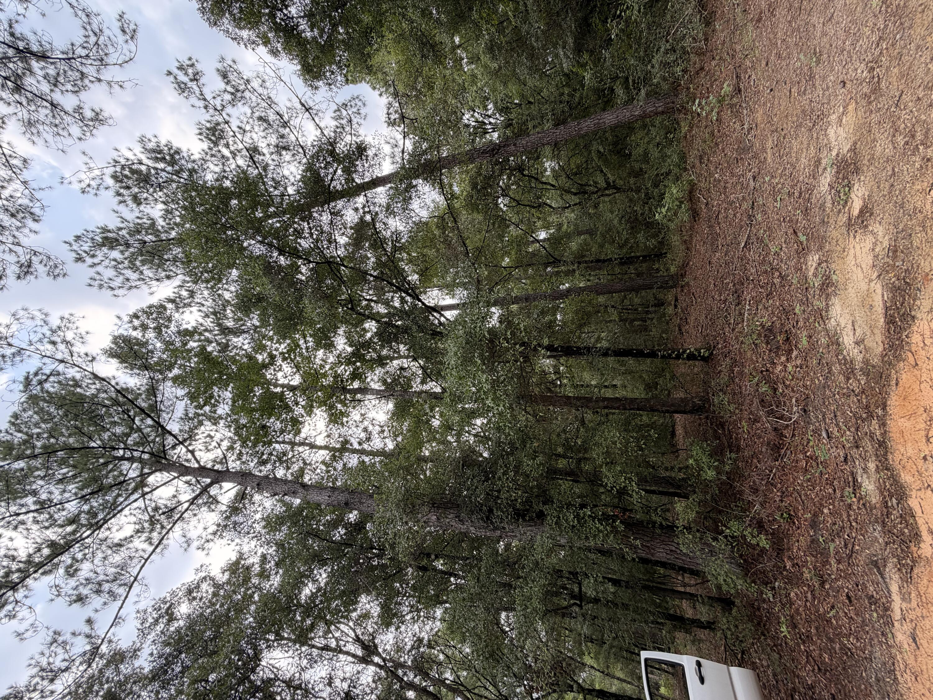 5266 Choctaw Road Vernon, FL 32462 - Photo 17 of 31 IMG_2628