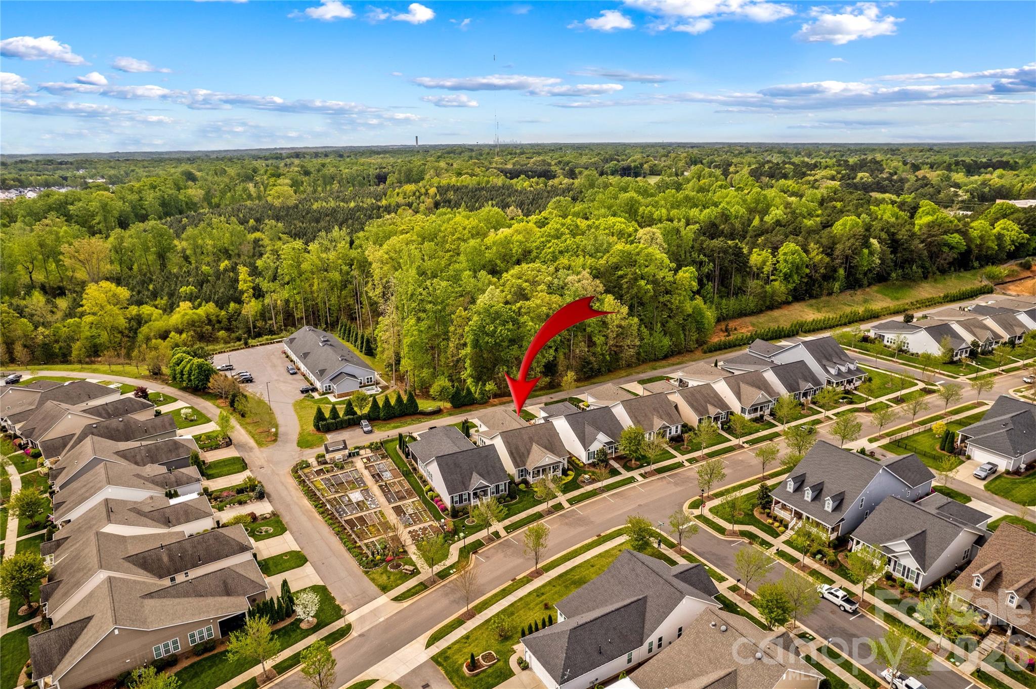 11528 Dublin Cres Road Cornelius, NC 28031 - Photo 3 of 35