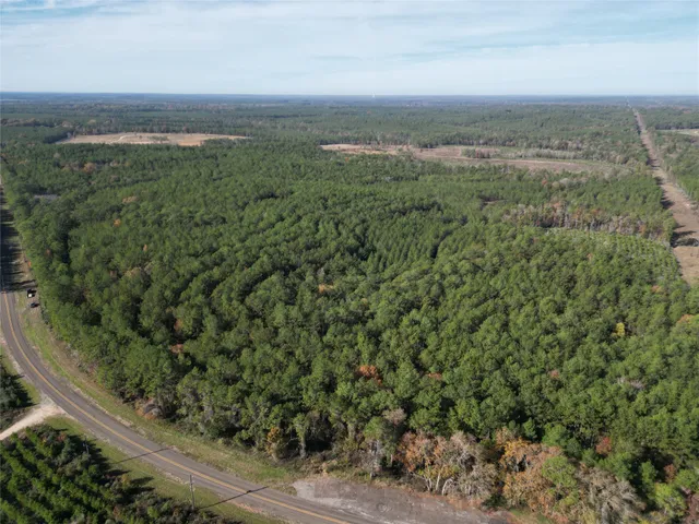 a view of a city with lush green forest