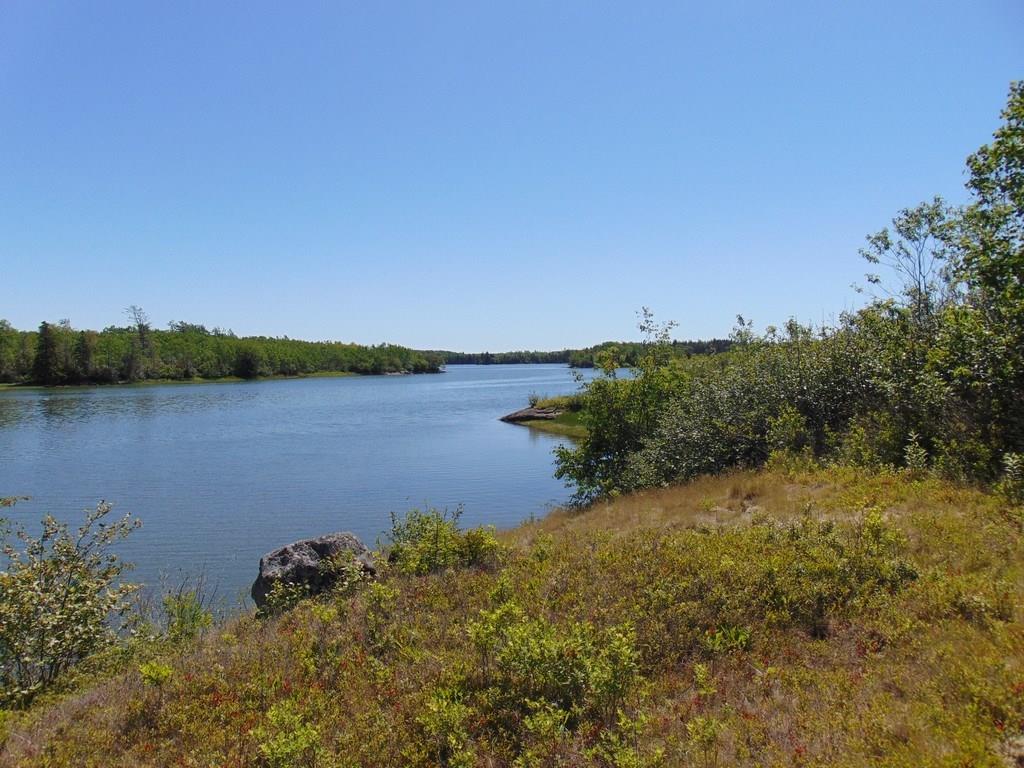 420 Basin Road Addison, ME 04606 - Photo 11 of 26 Blueberries for Sal....and me and...