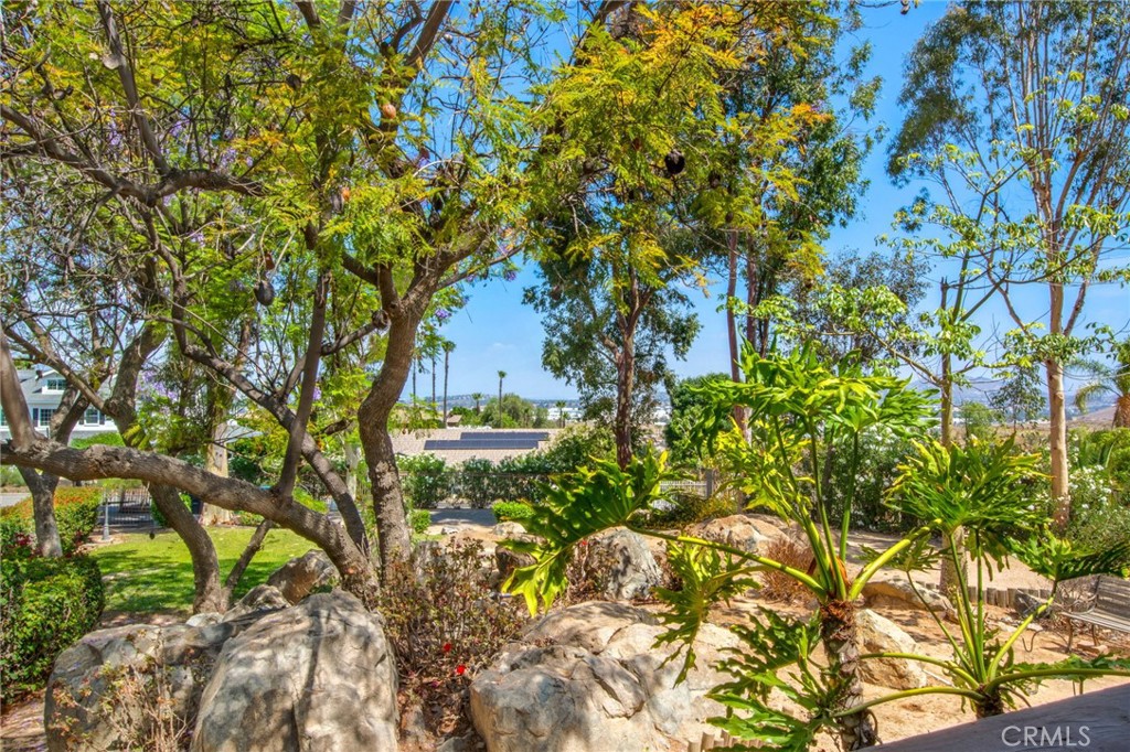 7241 Old Temescal Road Corona, CA 92881 - Photo 6 of 47 a view of a garden with plants and trees