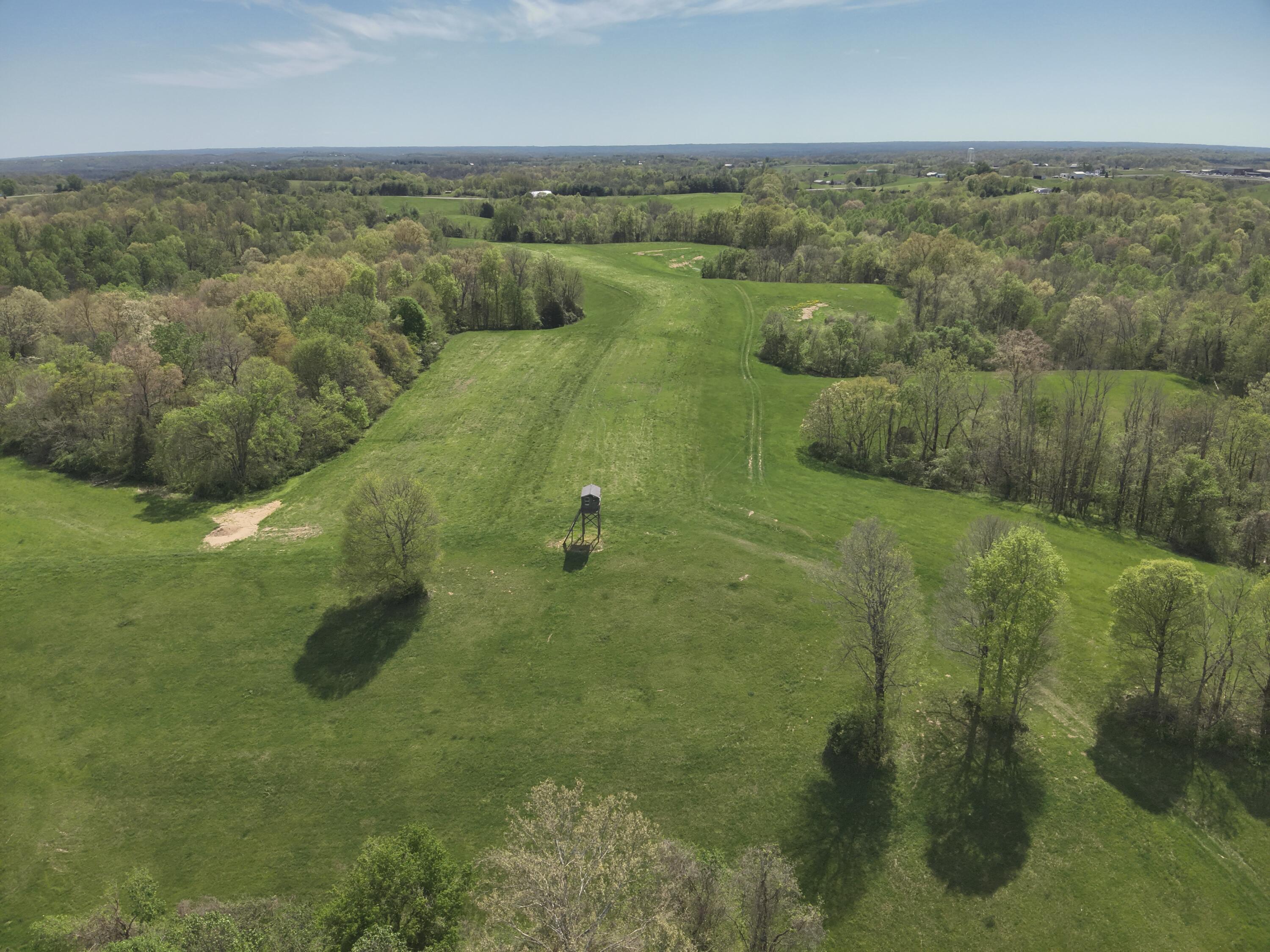 2451 Sardis Road Mount Olivet, KY 41064 - Photo 18 of 42