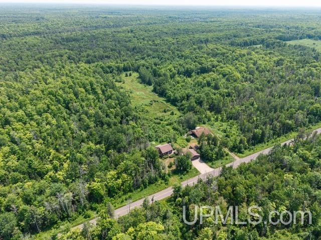509 Dukes Road Skandia, MI 49885 - Photo 43 of 63