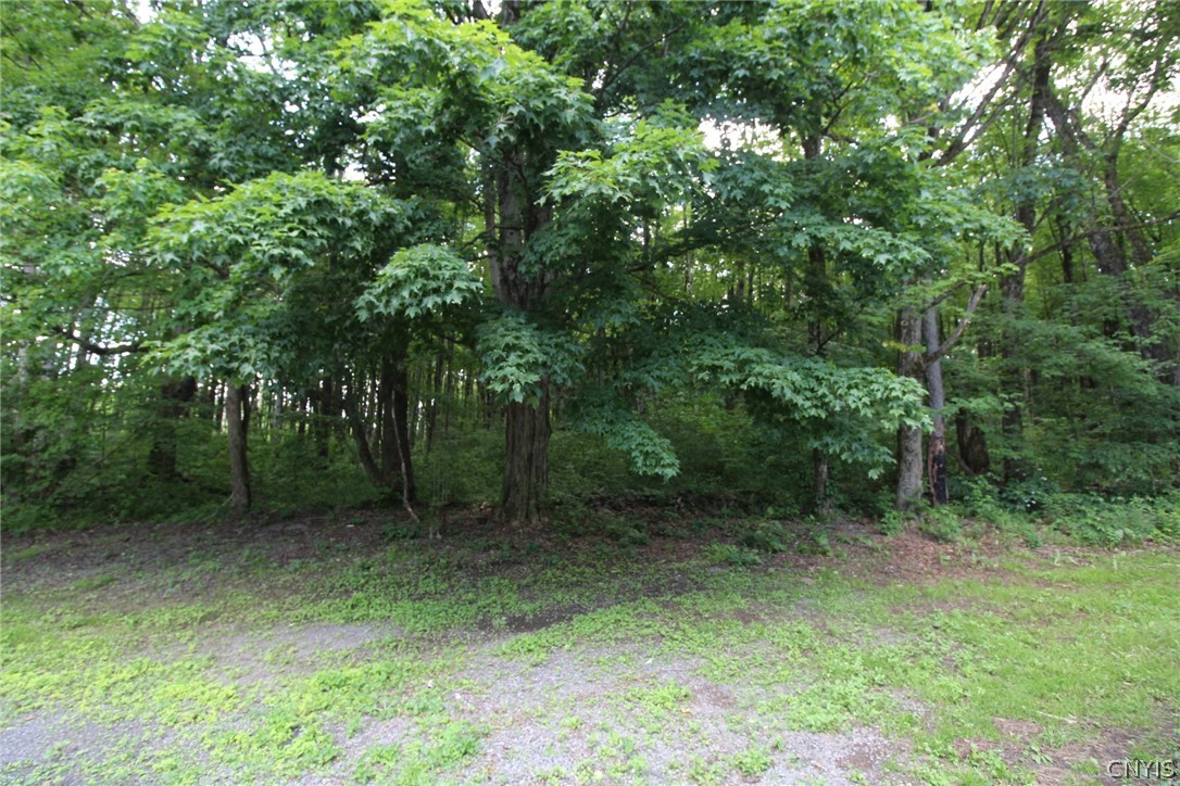 376 County Rte 22 Parish, NY 13131 - Photo 13 of 44