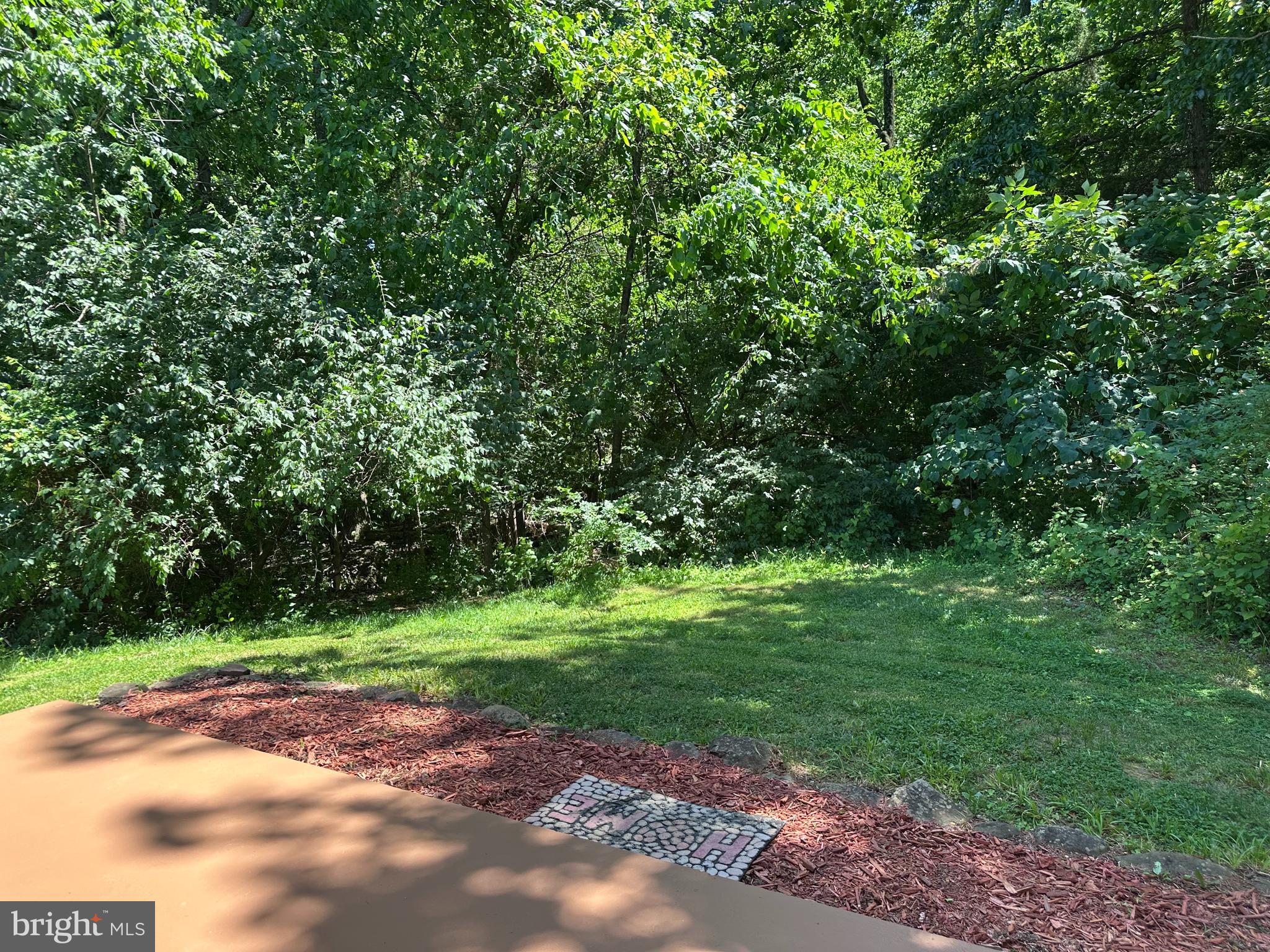 211 Keyes Court Sterling, VA 20164 - Photo 25 of 37 Backs to tree with lots of privacy!