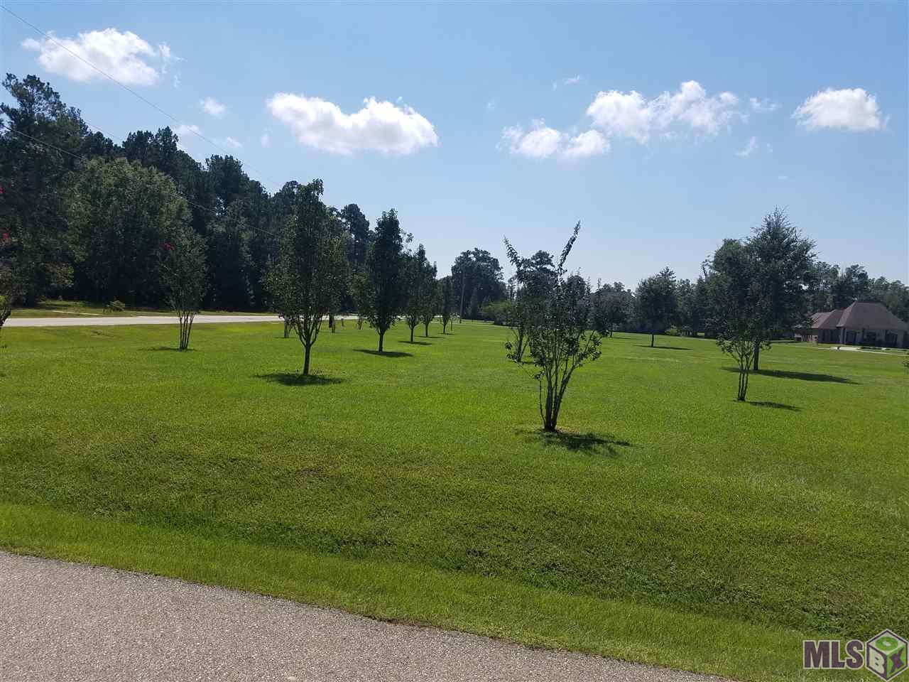 29125 Red Oak Road Livingston, LA 70754 - Photo 4 of 6 Gallery Image 4