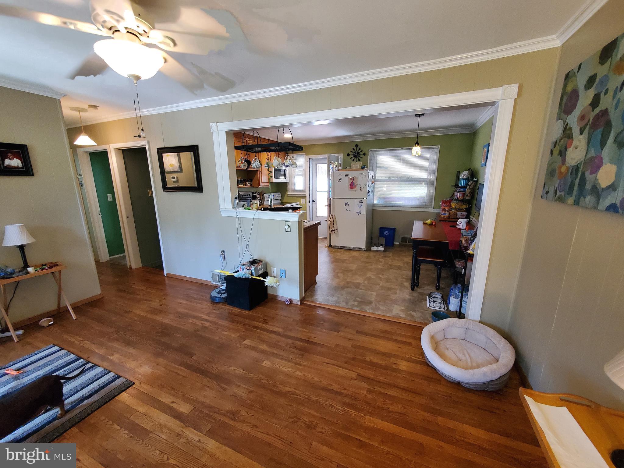 321 Old Home Road Baltimore, MD 21206 - Photo 3 of 3 Ceiling Fan/Light Fixture