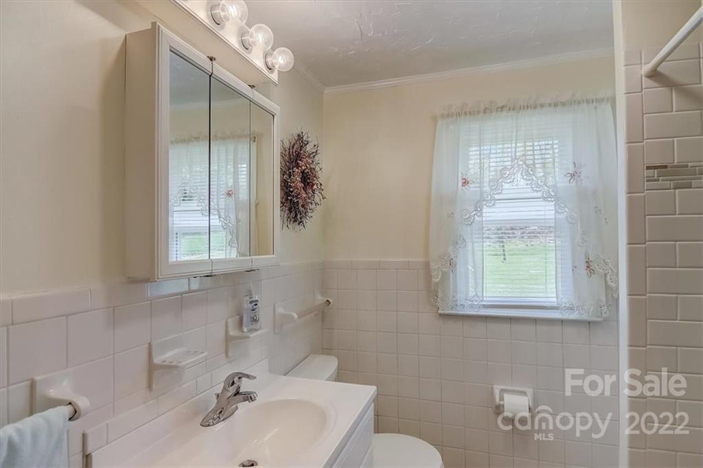 115 Substation Road Canton, NC 28716 - Photo 27 of 41 a bathroom with a sink a toilet and a mirror
