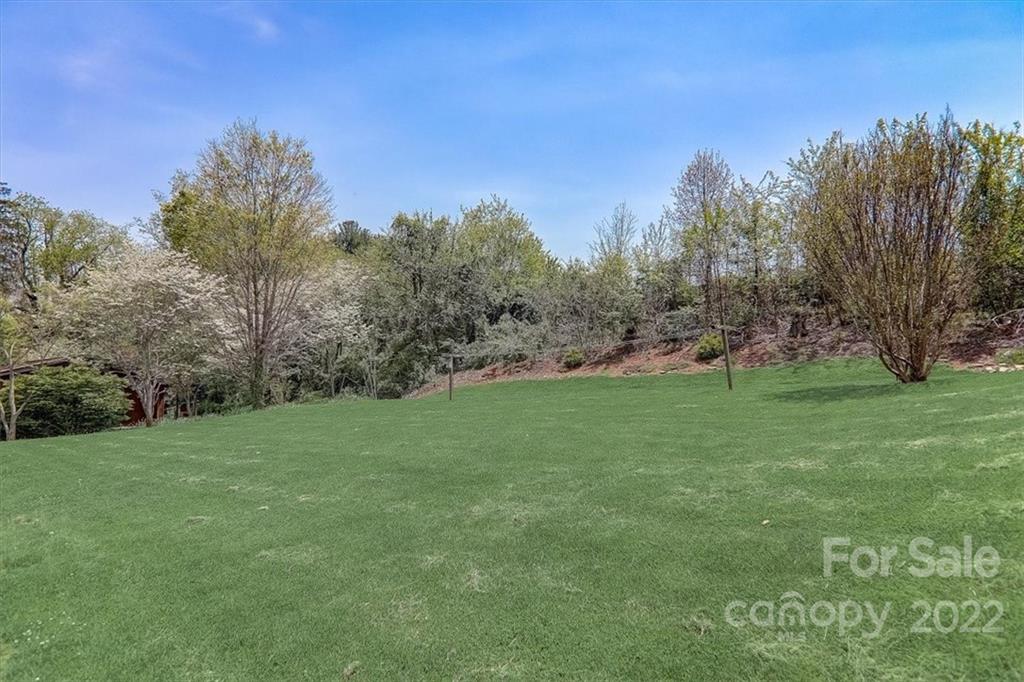 115 Substation Road Canton, NC 28716 - Photo 37 of 41 a view of a field of grass and trees