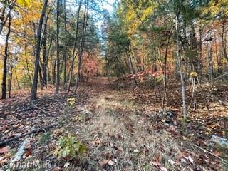 1928 Frye Road Westfield, NC 27053 - Photo 10 of 36 Gallery Image 10