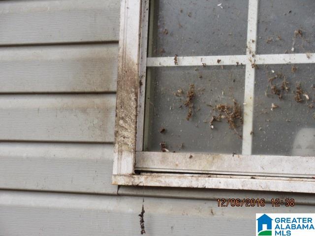 205 Wolf Pen Ridge Road Pell City, AL 35128 - Photo 18 of 50