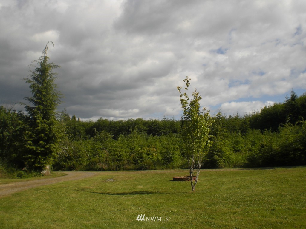 212 Hokanson Road Elma, WA 98541 - Photo 4 of 13 Gallery Image 4