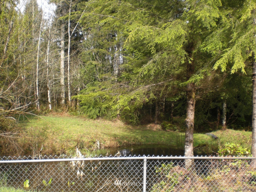 212 Hokanson Road Elma, WA 98541 - Photo 9 of 13 Gallery Image 9