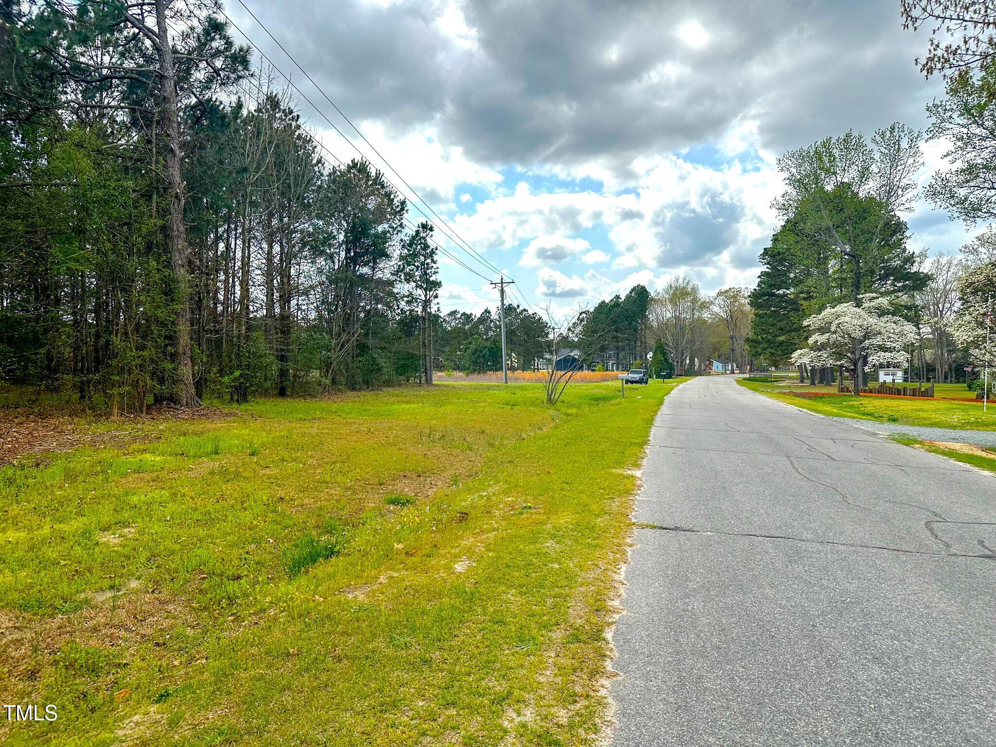 0 Reedy Branch Road Eastover, NC 28312 - Photo 6 of 8 6