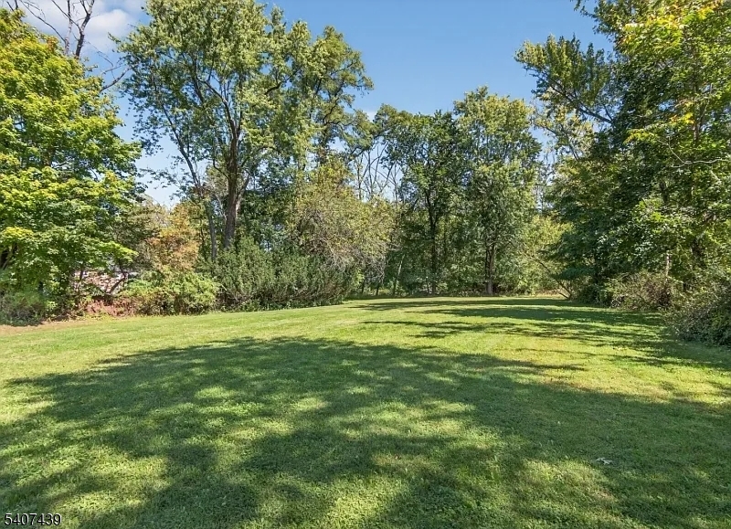 282 South Street, Unit B New Providence, NJ 07974 - Photo 28 of 28 a view of a green yard