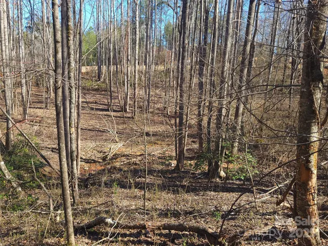 a view of small yard