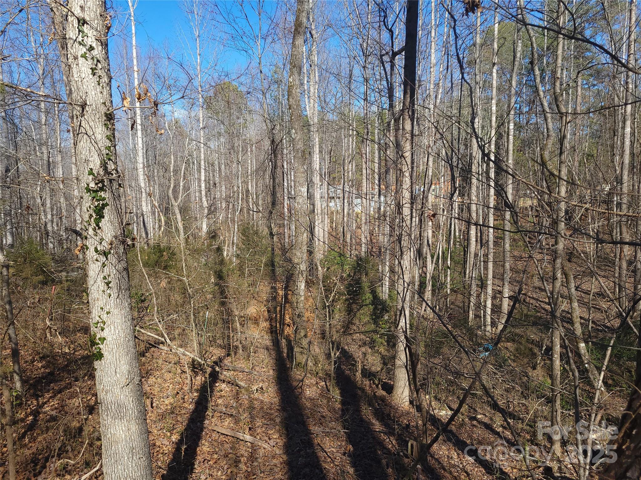 0 Skylark Lane, Unit 6 Tryon, NC 28782 - Photo 12 of 16 a view of small yard