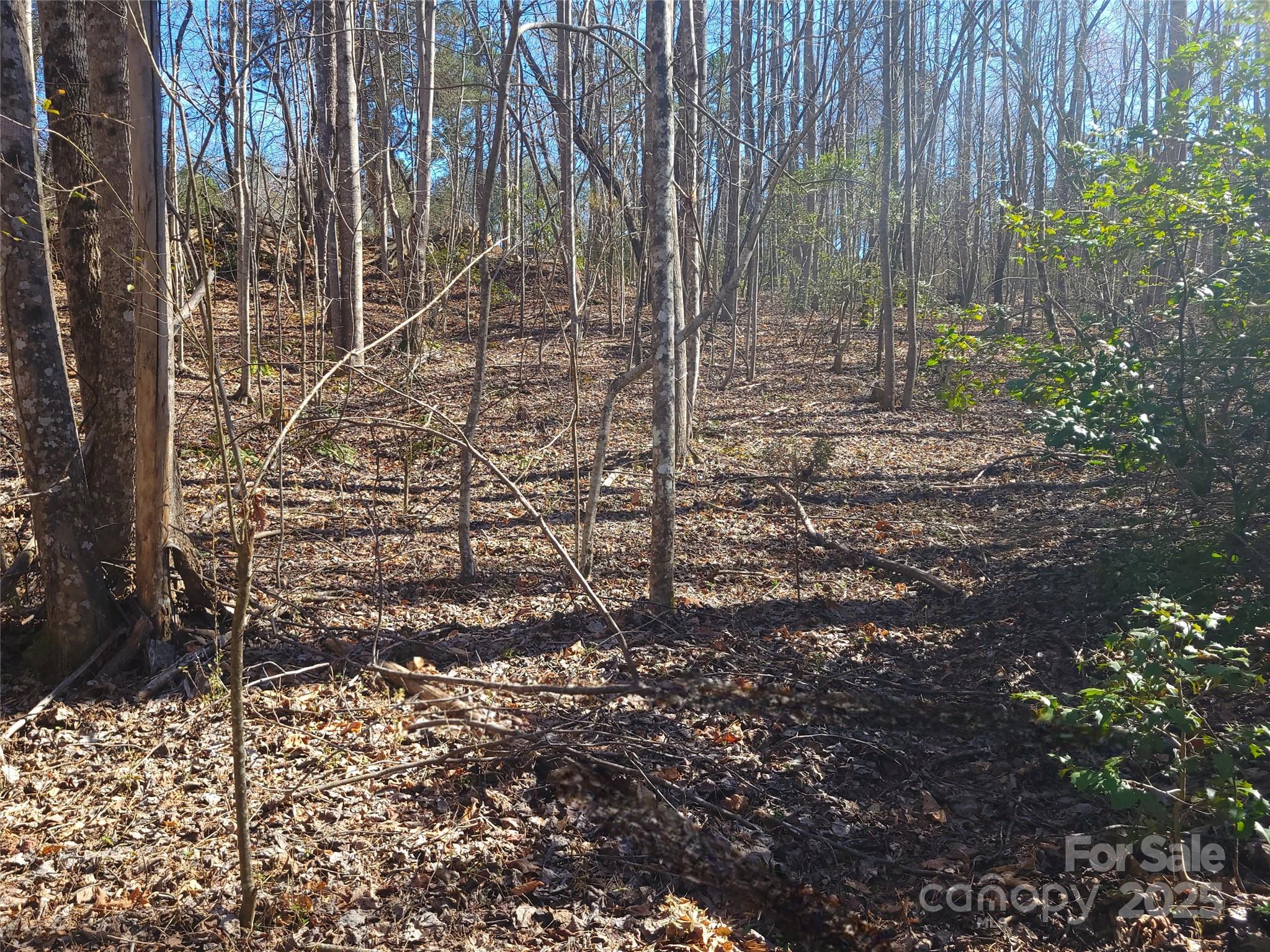 0 Skylark Lane, Unit 6 Tryon, NC 28782 - Photo 13 of 16 a view of a yard with plants and wooden fence