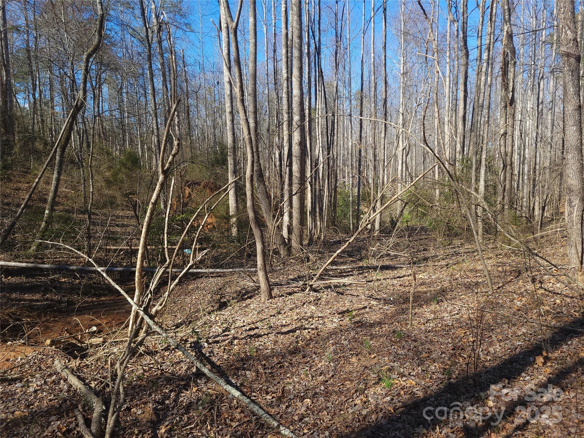 0 Skylark Lane, Unit 6 Tryon, NC 28782 - Photo 14 of 16 a view of basketball court with wooden fence