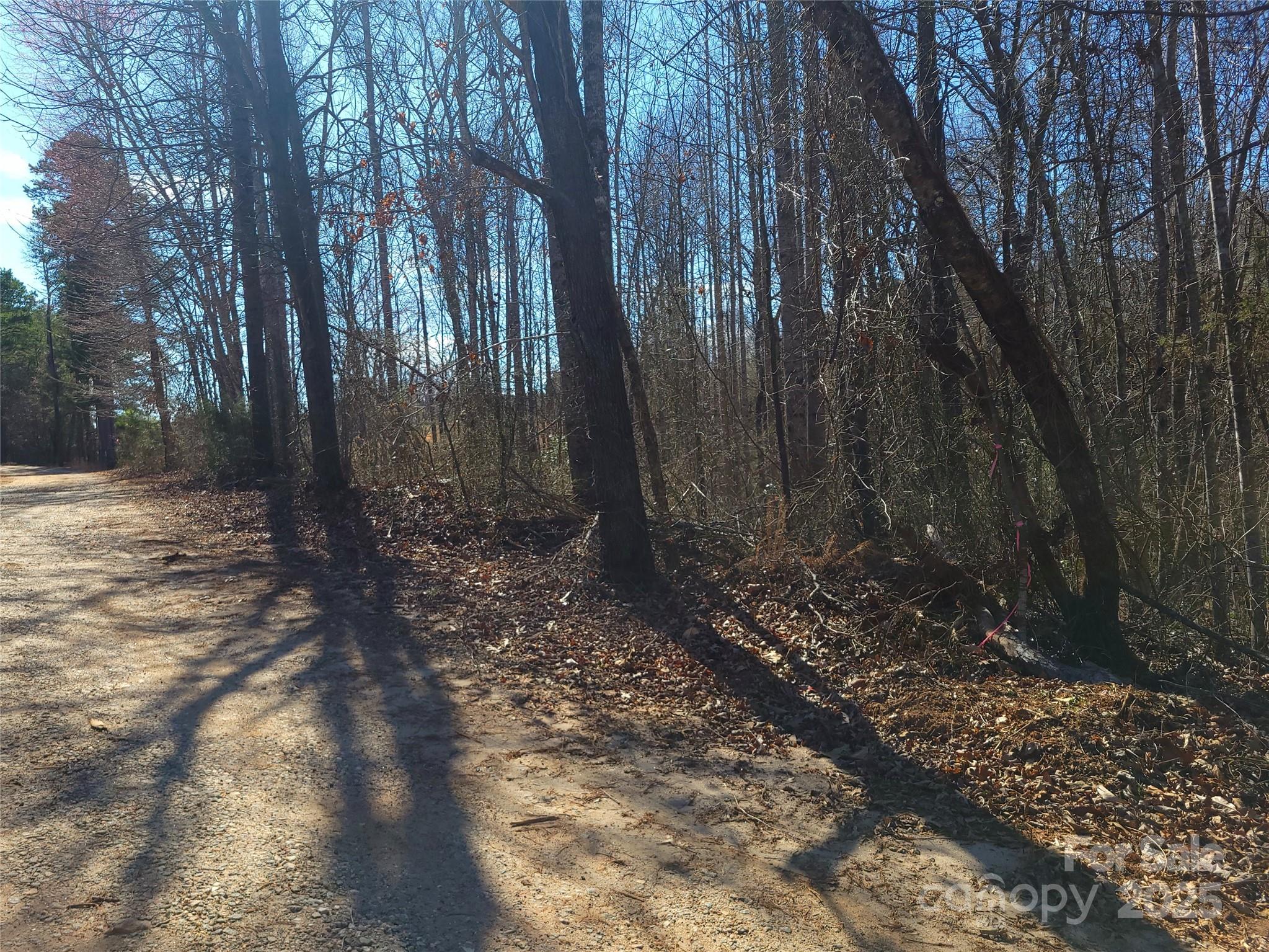 0 Skylark Lane, Unit 6 Tryon, NC 28782 - Photo 15 of 16 a backyard of a house with lots of green space