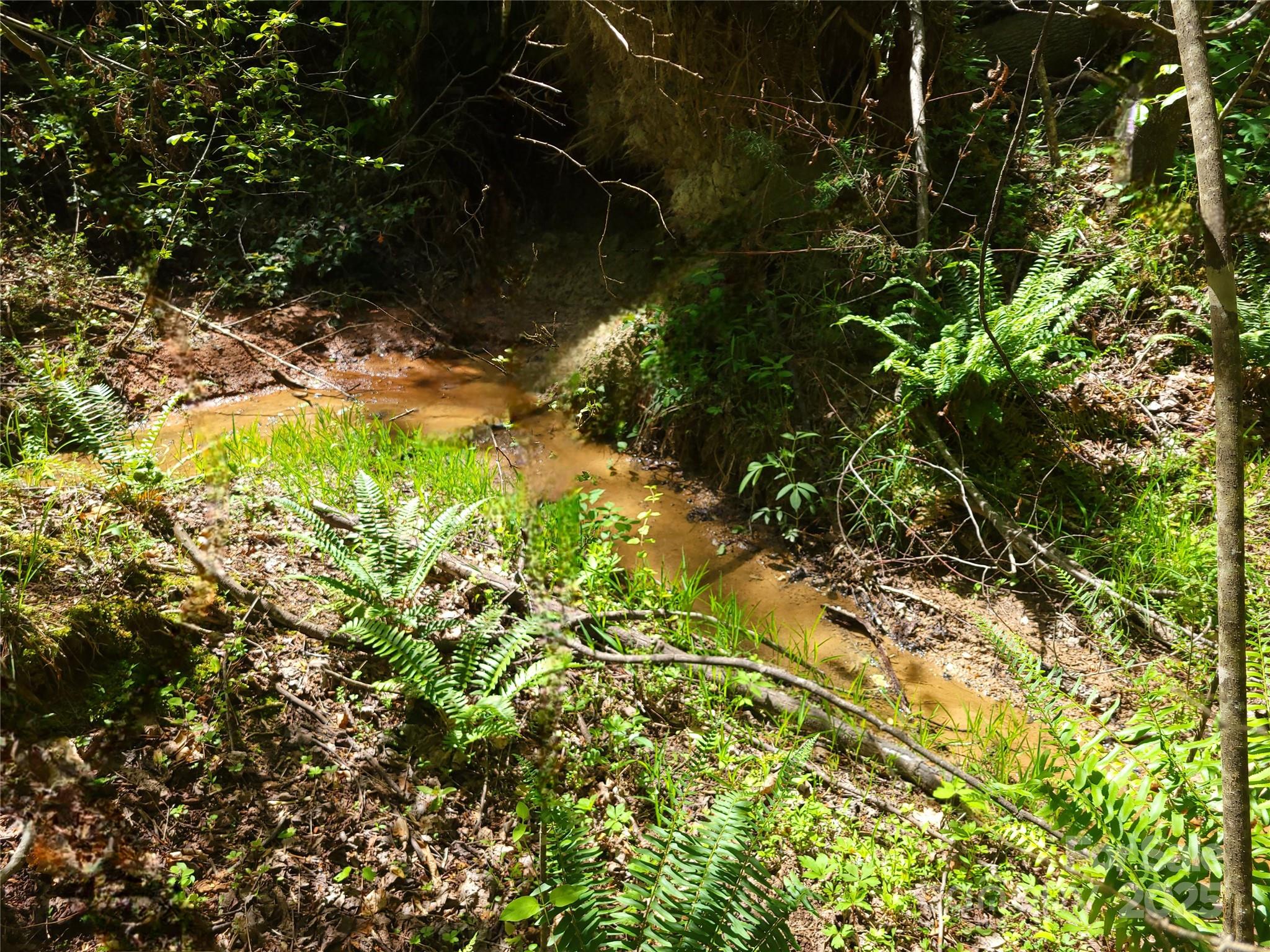 0 Skylark Lane, Unit 6 Tryon, NC 28782 - Photo 2 of 16 a backyard of a house with lots of green space
