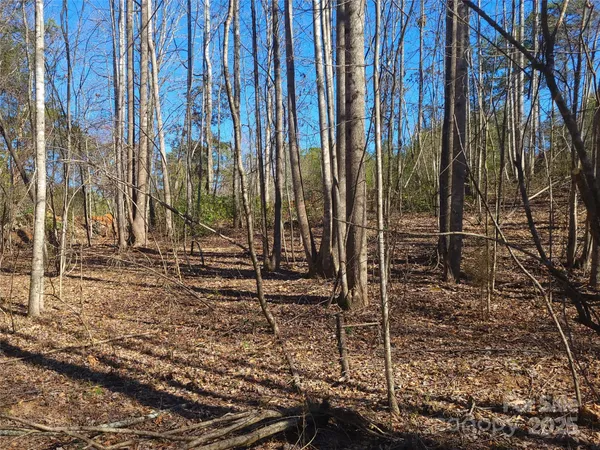 a view of a backyard with trees