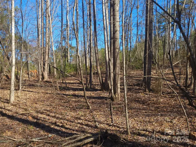 a view of a backyard with trees
