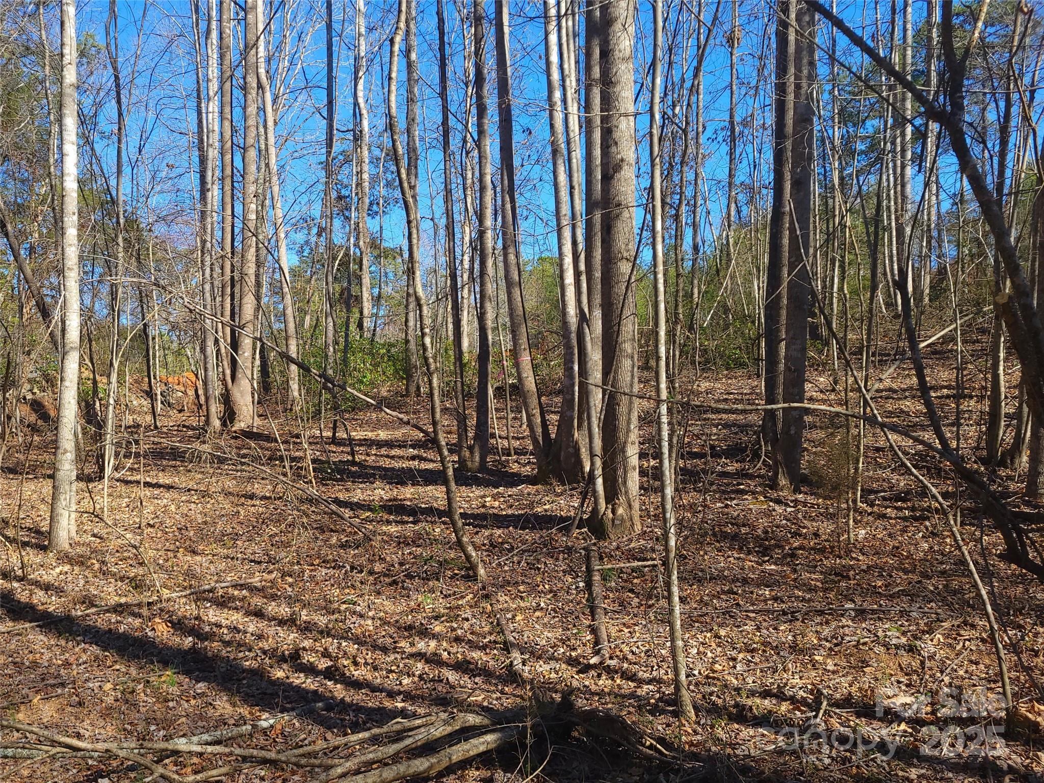 0 Skylark Lane, Unit 6 Tryon, NC 28782 - Photo 8 of 16 a view of a backyard with trees