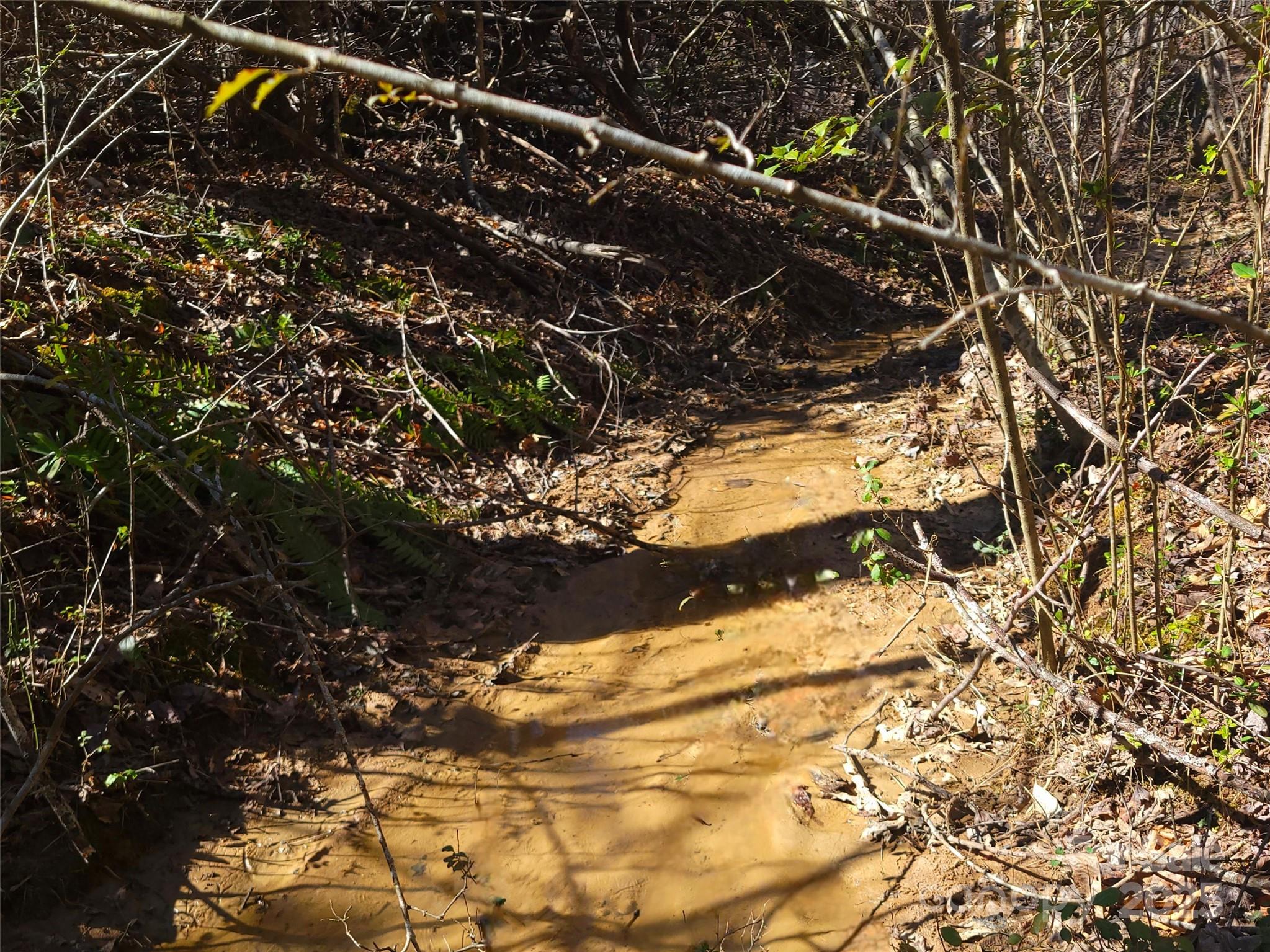 0 Skylark Lane, Unit 6 Tryon, NC 28782 - Photo 10 of 16 a view of outdoor space