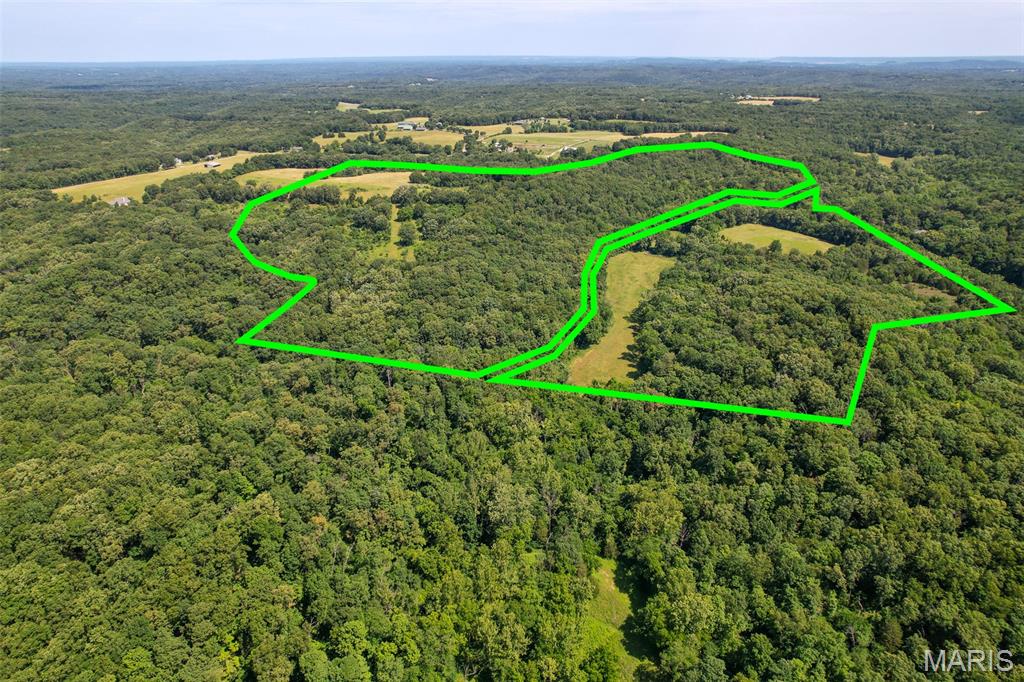 5684 Dry Fork Road Festus, MO 63028 - Photo 2 of 89