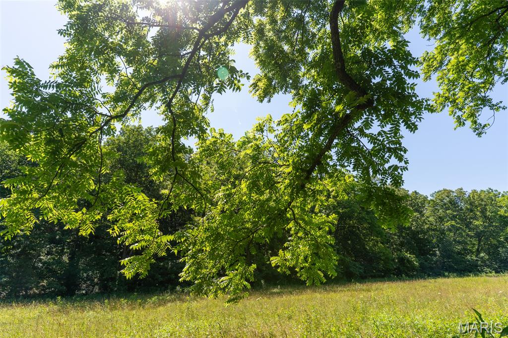 5684 Dry Fork Road Festus, MO 63028 - Photo 27 of 89