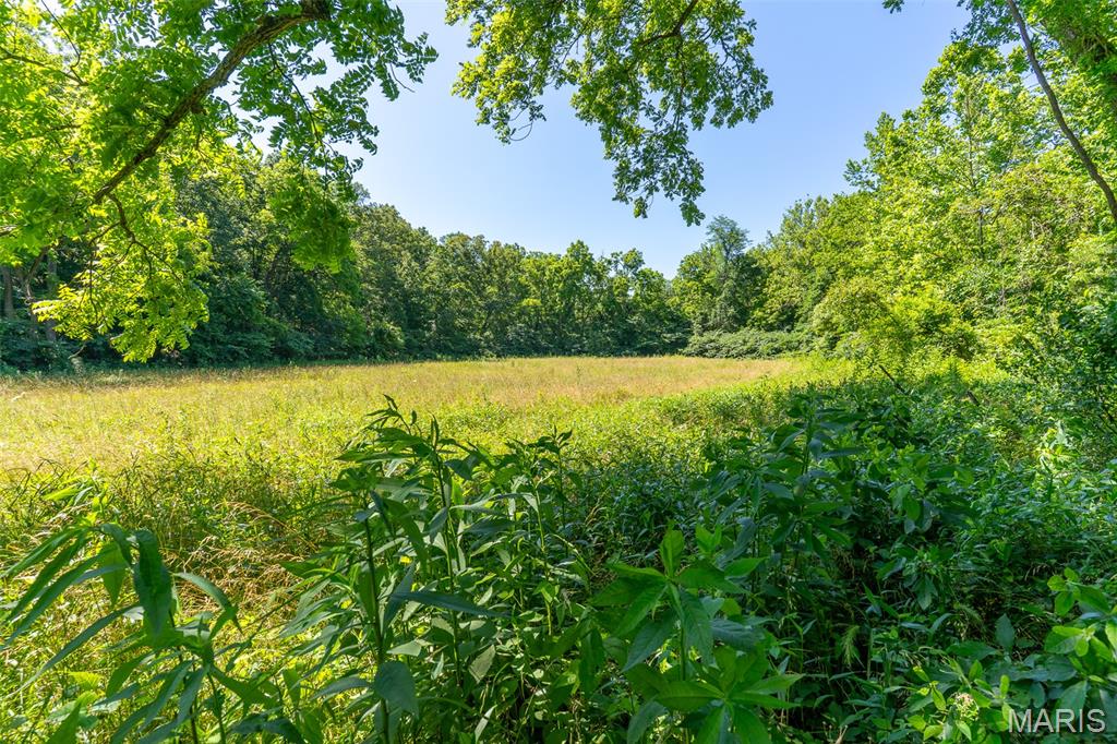 5684 Dry Fork Road Festus, MO 63028 - Photo 29 of 89