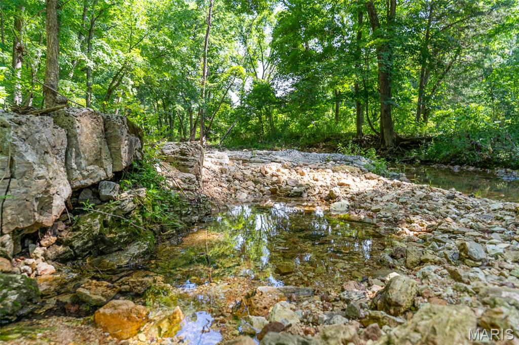 5684 Dry Fork Road Festus, MO 63028 - Photo 30 of 89