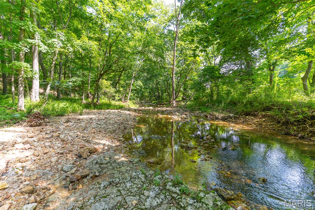 5684 Dry Fork Road Festus, MO 63028 - Photo 32 of 89