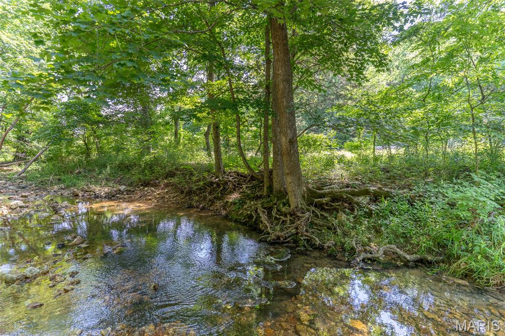 5684 Dry Fork Road Festus, MO 63028 - Photo 33 of 89