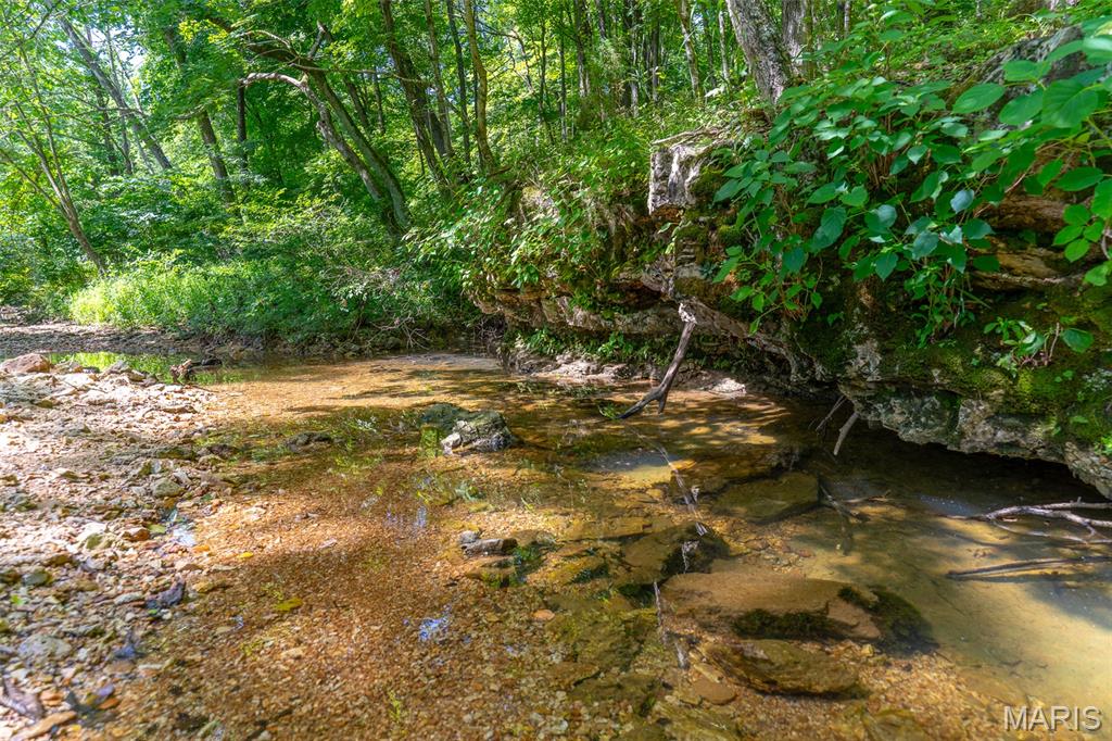 5684 Dry Fork Road Festus, MO 63028 - Photo 34 of 89