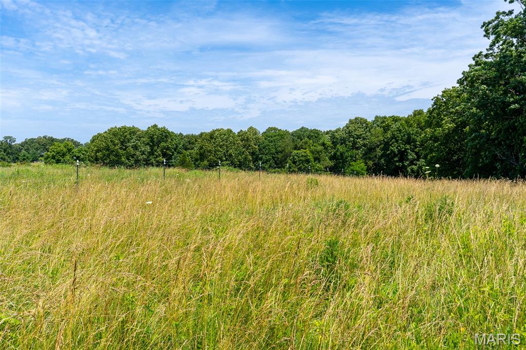 5684 Dry Fork Road Festus, MO 63028 - Photo 37 of 89