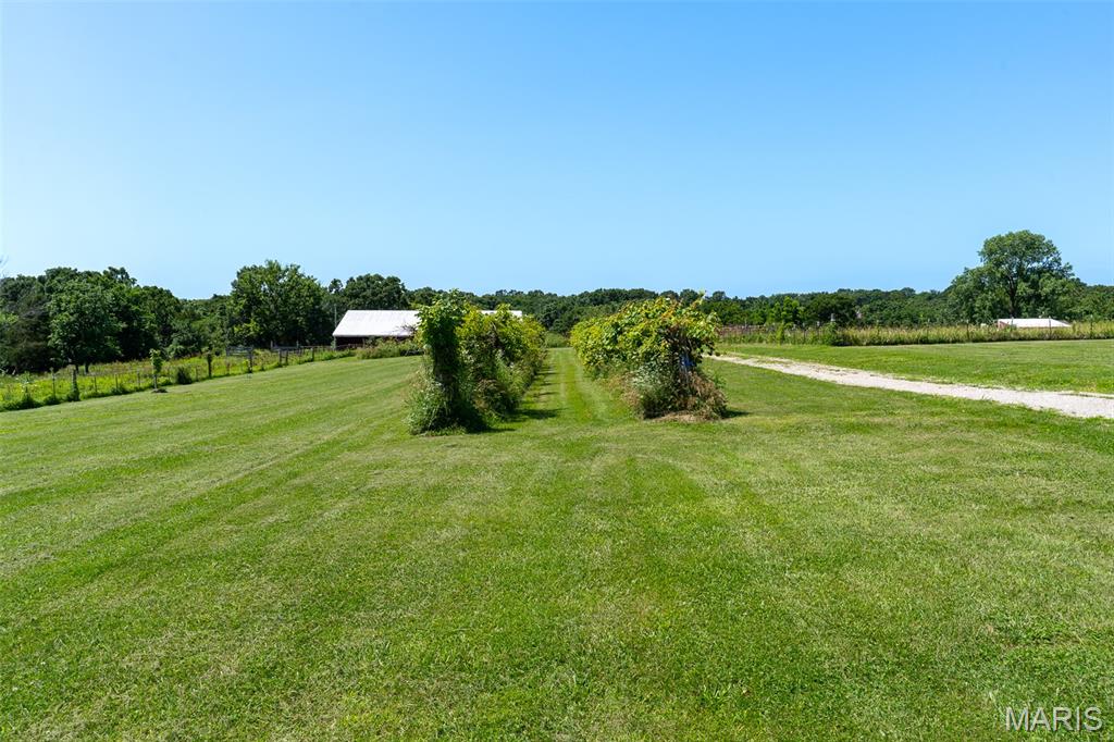 5684 Dry Fork Road Festus, MO 63028 - Photo 46 of 89