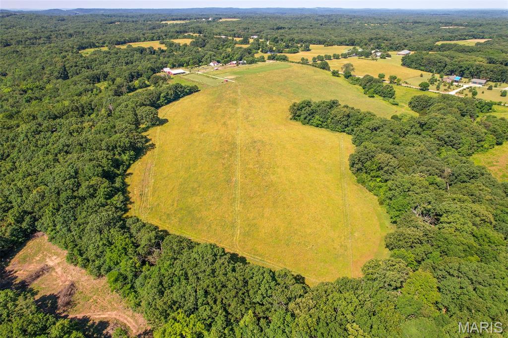 5684 Dry Fork Road Festus, MO 63028 - Photo 6 of 89