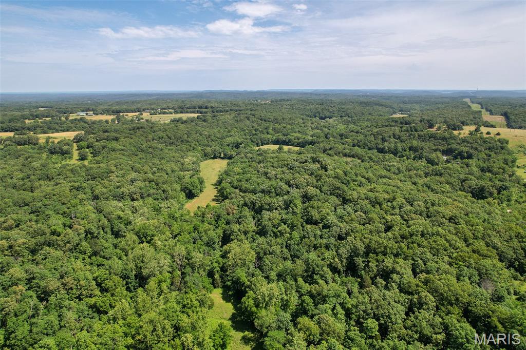 5684 Dry Fork Road Festus, MO 63028 - Photo 7 of 89