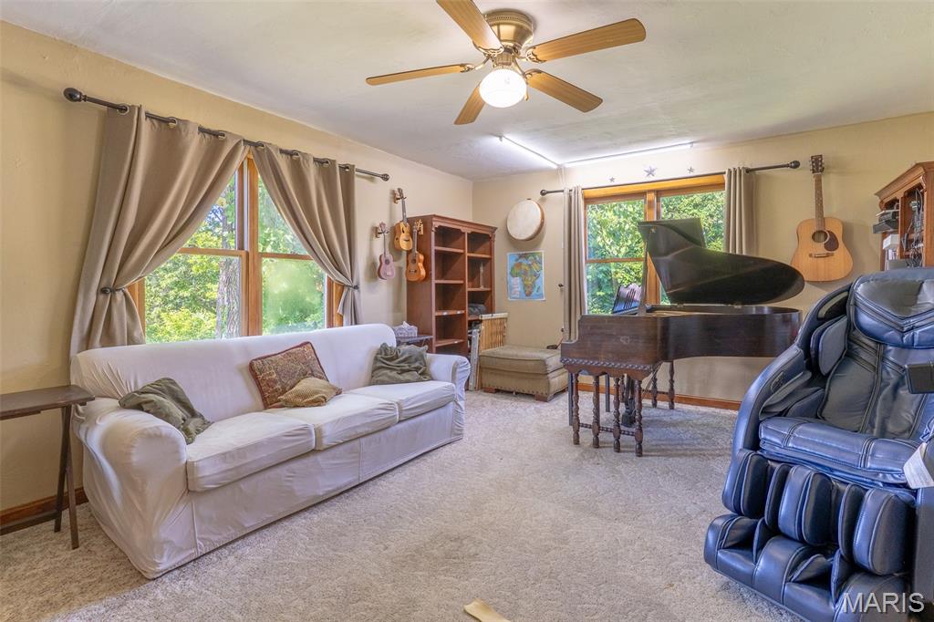 5684 Dry Fork Road Festus, MO 63028 - Photo 73 of 89