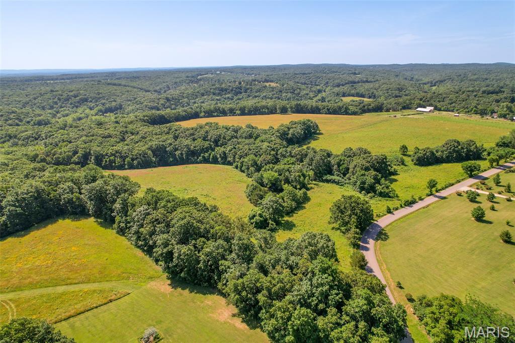 5684 Dry Fork Road Festus, MO 63028 - Photo 9 of 89