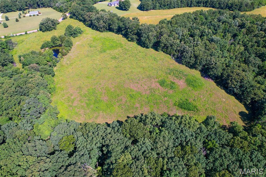 5684 Dry Fork Road Festus, MO 63028 - Photo 10 of 89