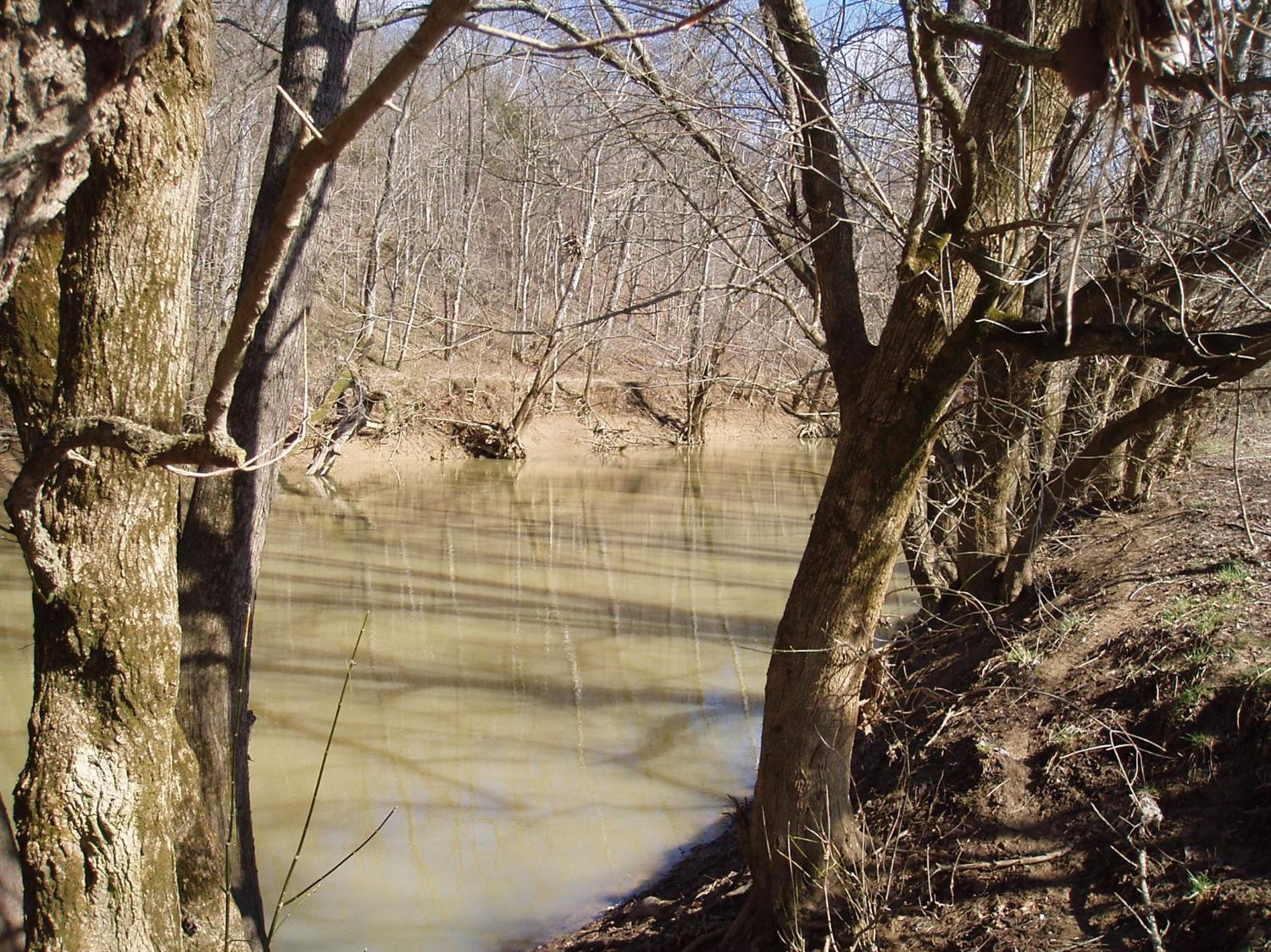 239 Grigson Road Brooksville, KY 41004 - Photo 13 of 28 Gallery Image 13