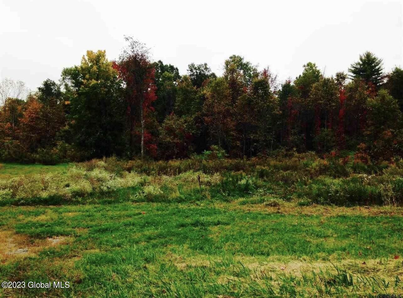 297 Wilton Gansevoort Road Wilton, NY 12831 - Photo 3 of 7 IMG-5061