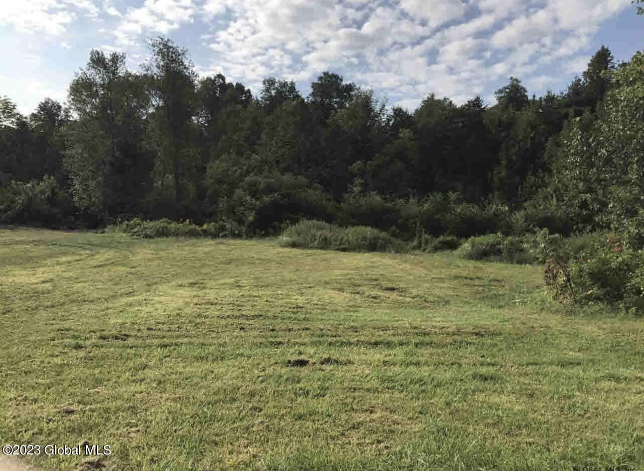 297 Wilton Gansevoort Road Wilton, NY 12831 - Photo 5 of 7 IMG-5065