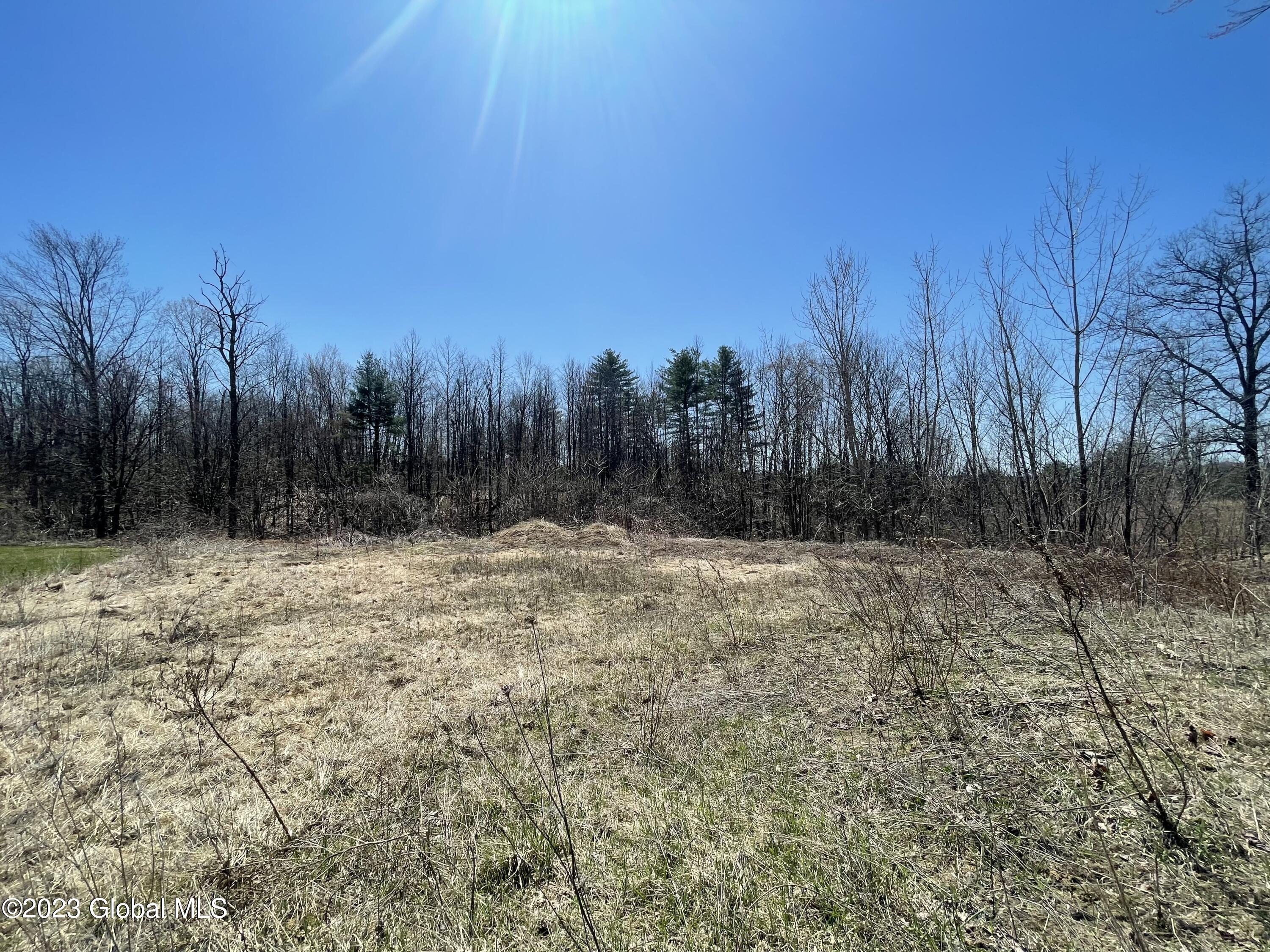 297 Wilton Gansevoort Road Wilton, NY 12831 - Photo 6 of 7 IMG-5081