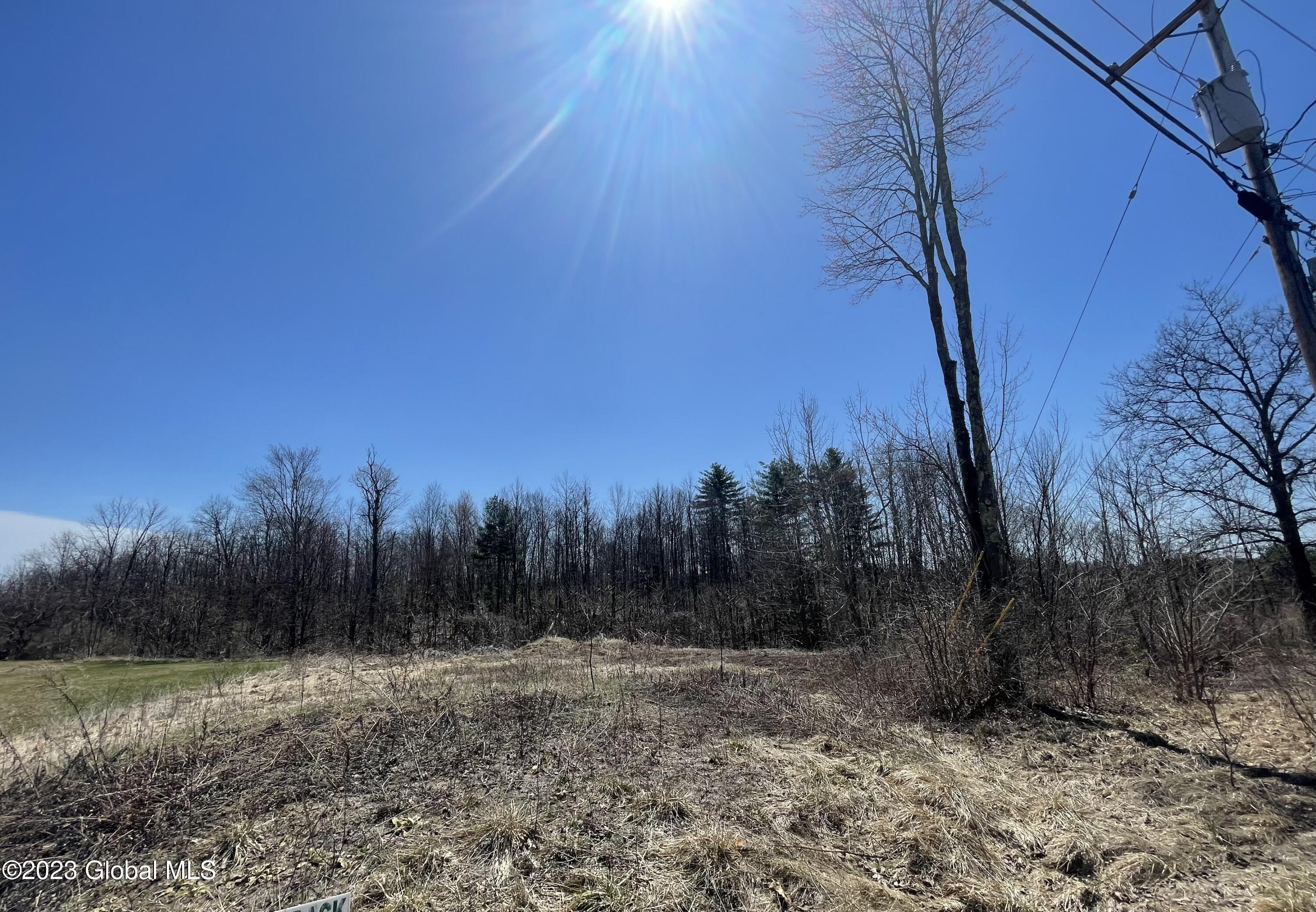 297 Wilton Gansevoort Road Wilton, NY 12831 - Photo 7 of 7 IMG-5083