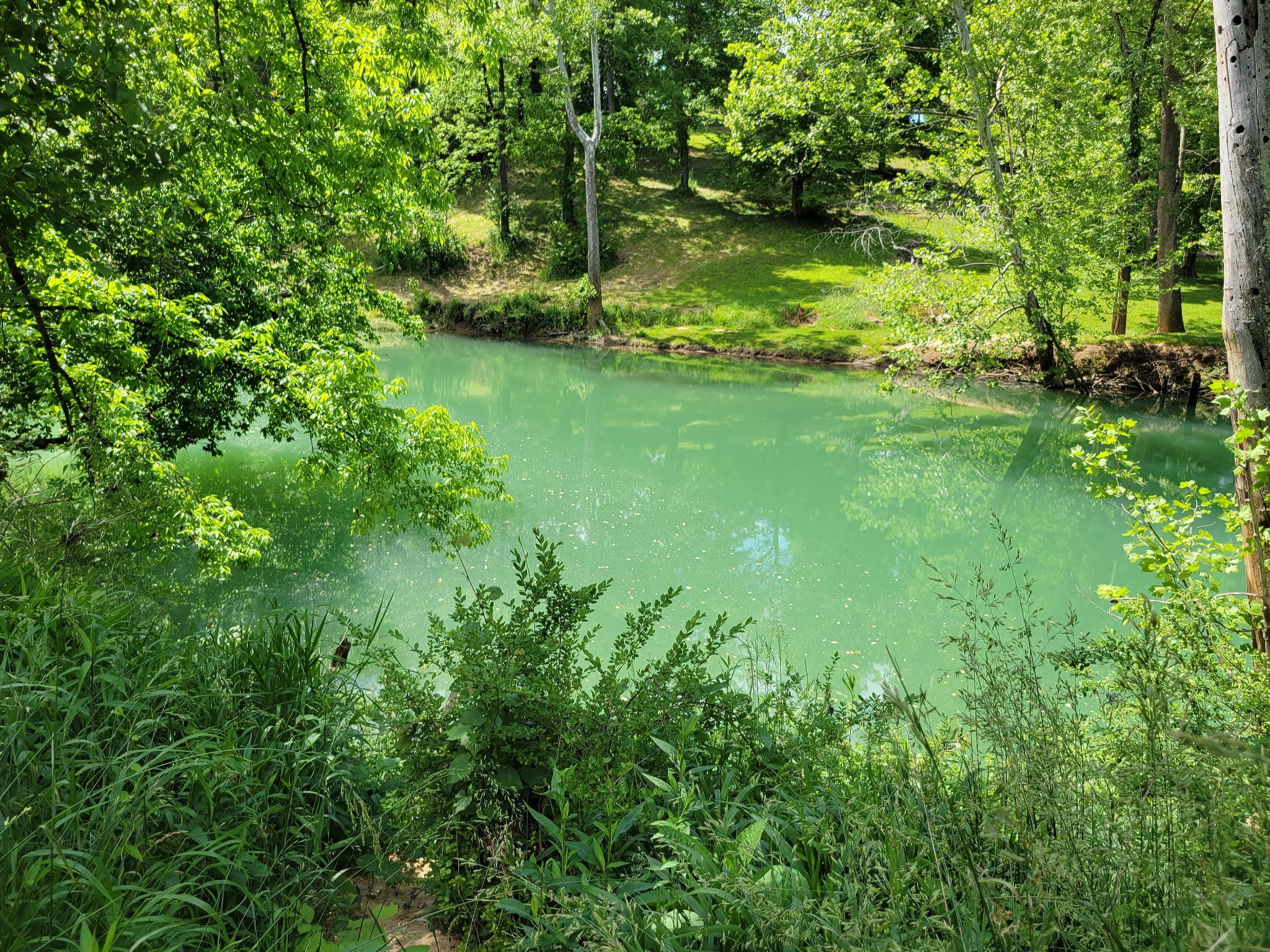 590 Mack Floyd Road Sparta, TN 38583 - Photo 25 of 27 Gallery Image 25