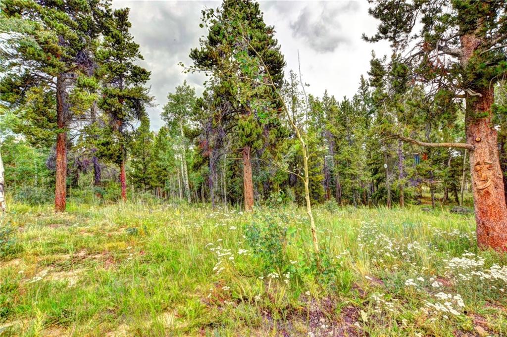 125 Wild Rye Road Fairplay, CO 80440 - Photo 24 of 29 Gallery Image 24